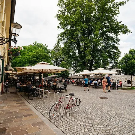 150 Steps To The Main Square Apartment Laibach