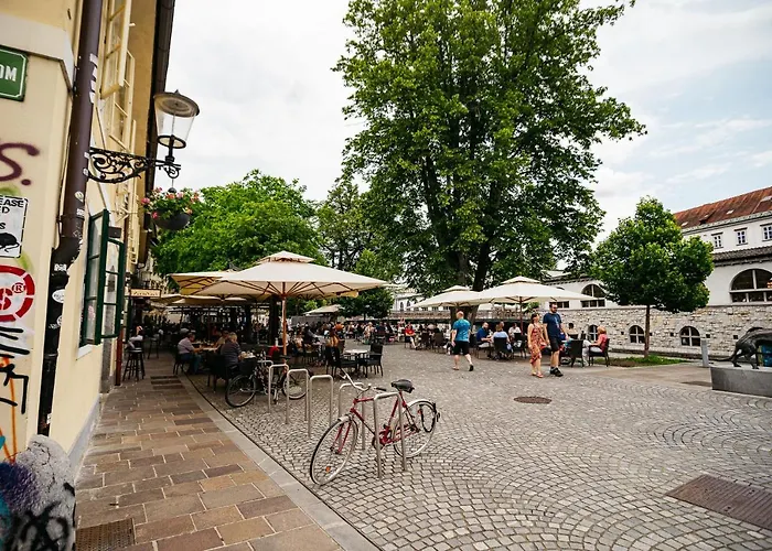 150 Steps To The Main Square Apartment Laibach